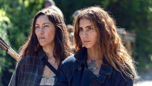 Ходячие мертвецы 9 сезон 13 серия